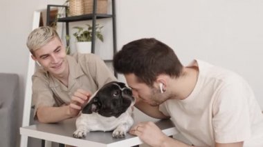 Evdeki masada oturan ve sevimli köpekleri okşayan iki yakışıklı beyaz adamın orta boy fotoğrafı. Fransız Bulldog 'u, genç, siyah saçlı adamın yüzünü sızdırıyor.