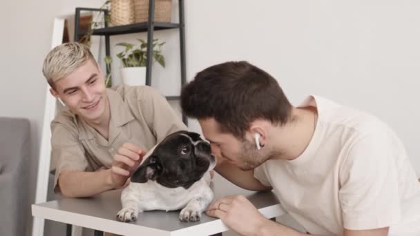 Tirador Medio Dos Jóvenes Caucásicos Guapos Sentados Escritorio Casa Acariciando — Vídeo de stock