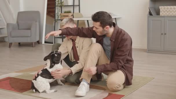 アパートの床にカーペットの上に座っているカジュアルな服を着て アクティブなフランスのブルドッグと遊んでいる2人の若い白人男性のワイドショット — ストック動画