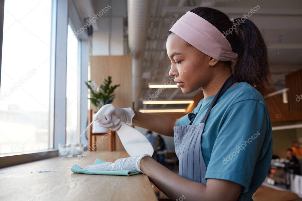 Side view portrait of young African-American woman cleaning windows with sanitizer in cafe, copy space