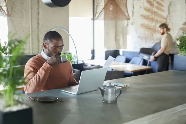 非洲裔美国成年人的画像 他们一边用笔记本电脑 一边享受着咖啡 一边在装饰着新鲜绿色植物的环保咖啡馆内工作 复制空间 — 图库照片