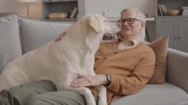 Medium slowmo of happy old man relaxing on sofa in living room petting and talking to his cute playful sand Labrador retriever