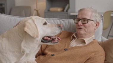 Medium close-up with slowmo of relaxed old man chilling on sofa at home spending time with his cute Sand Labrador Retriever dog talking and petting him