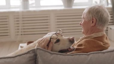 Medium close-up with slowmo of cheerful senior man and cute sand Labrador retriever sitting on sofa in front of window bonding and playing with eyeglasses