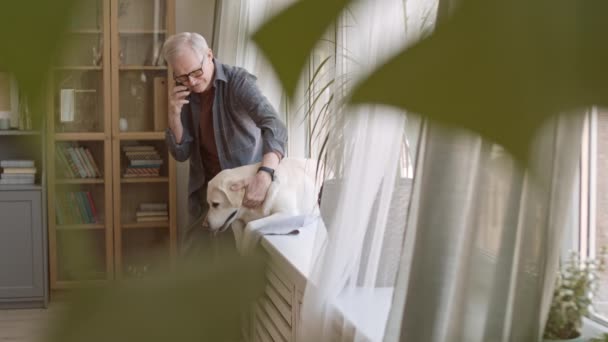 Medium Slowmo Contemporary Elderly Man Standing Next Window While Phone — Wideo stockowe
