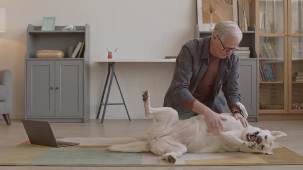 Slowmo Senior Man Playing His Dog Home Rubbing Petting Its — Αρχείο Βίντεο