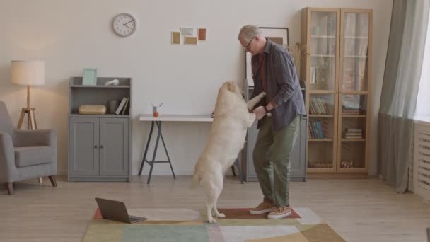 Full Shot Slowmo Joyful Senior Man Casualwear Teaching Yellow Labrador — Stok video