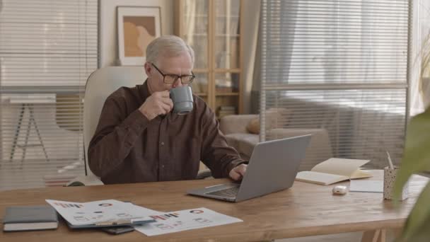 Lentitud Media Del Hombre Negocios Senior Que Trabaja Ordenador Portátil — Vídeos de Stock