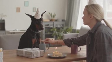 Orta uzunlukta, parti şapkası takan bir Doberman köpeği, sarı saçlı ev sahibinin karşısında oturan, doğum günü pastasında mum üfleyen bir insan, evcil hayvan havlaması.