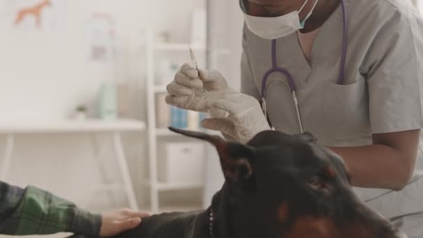 Opsluiting Van Bijgesneden Dierenarts Dragen Handschoenen Het Vrijgeven Van Luchtbellen — Stockvideo