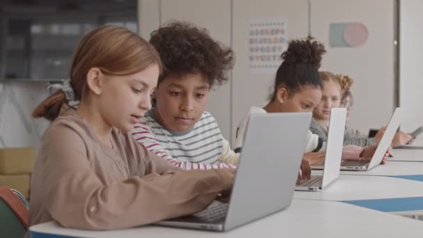 Tiro Médio Pequeno Grupo Estudantes Multiétnicos Inteligentes Que Estudam Computadores — Vídeo de Stock