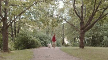 Neşeli, beyaz, günlük kıyafetler giyen, yaz günü parkta tasmalı Golden Retriever köpeğini gezdiren bir adam.