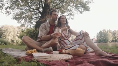 Alçak açılı, mutlu, beyaz kadın ve erkek kucaklaşması yaz parkında battaniyede oturuyor, şarap içiyor, piknik yapıyor, konuşuyor ve gülümsüyor.