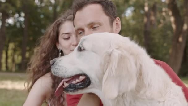 明るい白人女性と男の抱きしめの中間クローズアップ 夏の公園に座って かわいいゴールデンレトリバー犬をペット 話と笑顔 — ストック動画