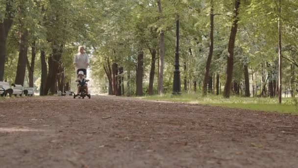 Apuñalada Mujer Joven Ropa Casualwear Que Lleva Bicicleta Del Cochecito — Vídeos de Stock