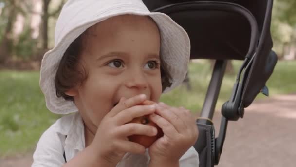 可爱的混合种族幼儿男孩的特写 他一头卷曲的棕色头发 戴着夏季的巴拿马帽 坐在公园里的三轮车里吃着红色的苹果 — 图库视频影像