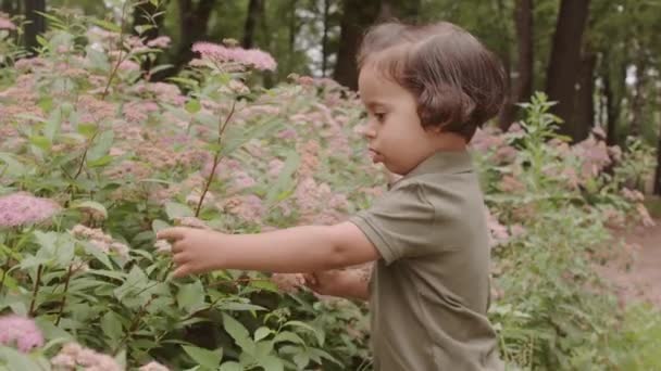 Medium Shot Cute Toddler Boy Curly Brown Hair Smelling Touching — Stok video