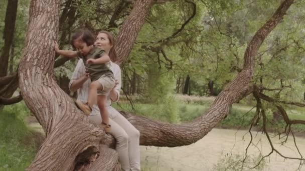 Loving Mother Helping Her Playful Toddler Son Climb Tree Spending — Αρχείο Βίντεο