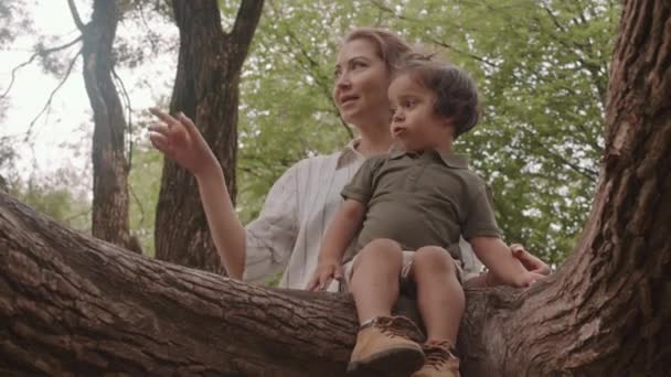 Medium Shot Young Woman Holding Cute Toddler Boy Sitting Tree — Stok video