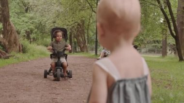 Medium close-up of cute pretty toddler girl playing with little boy riding on tricycle stroller spending summertime outdoors in park