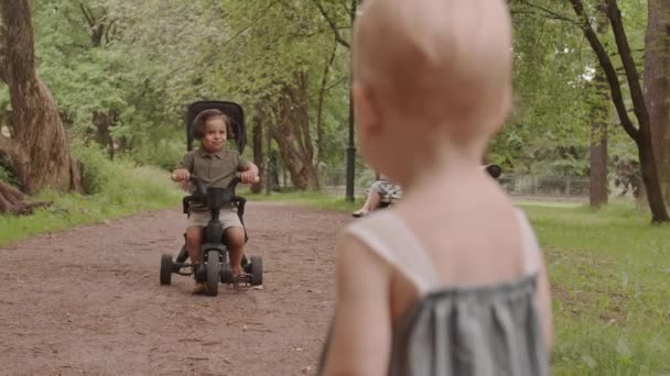 Medium Close Van Schattig Mooi Peuter Meisje Spelen Met Kleine — Stockvideo