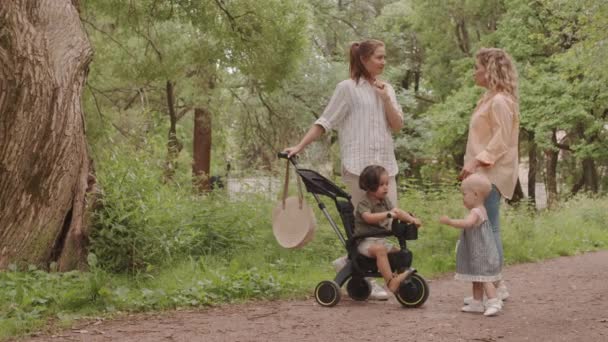 Full Shot Two Female Friends Casualwear Standing Forest Path Trees — Stok video