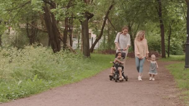 Full Shot Two Female Friends Toddler Kids Walking Park Weekend — Stok video