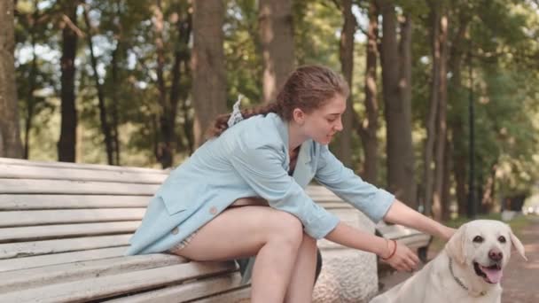 Medium Long Blue Eyed Caucasian Woman Wearing Blue Blazer Sitting — Αρχείο Βίντεο