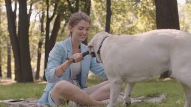 Full shot of young Caucasian woman sitting on blanket on top of green lawn, calling her dog and playing with wooden, throwing it away