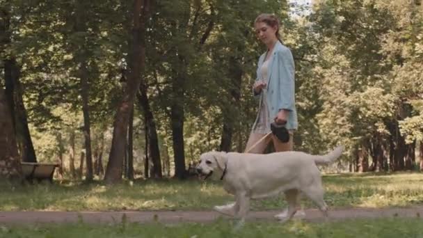 Tracking Side View Young Caucasian Woman Walking Labrador Retriever Leash — Αρχείο Βίντεο