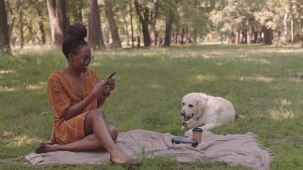 Long Shot Happy African Woman Sitting Blanket Glade Forest Smiling — Αρχείο Βίντεο