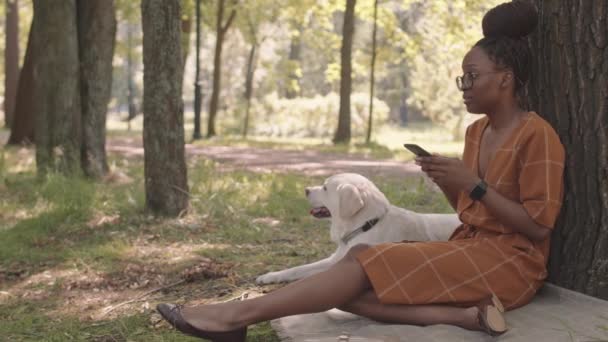 Full Side View Young African Woman Sitting Blanket Tree Park — Stock Video