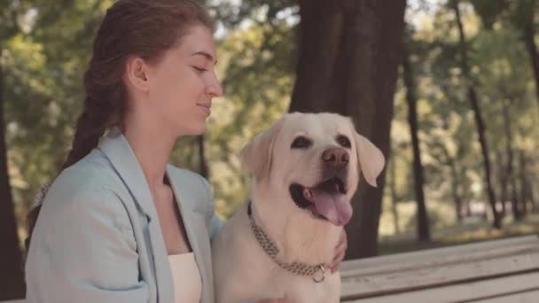 Chest Cheerful Caucasian Woman Sitting Bench Public Park Petting Dog — Αρχείο Βίντεο
