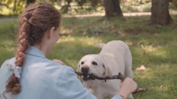 Shoulder Long Haired Pet Owner Holding Wooden Stick Hands Front — Αρχείο Βίντεο