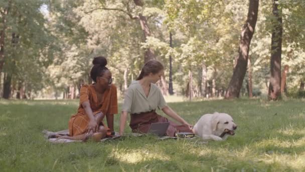 Amplia Toma Amigas Africanas Caucásicas Sentadas Césped Parque Mirando Perro — Vídeos de Stock