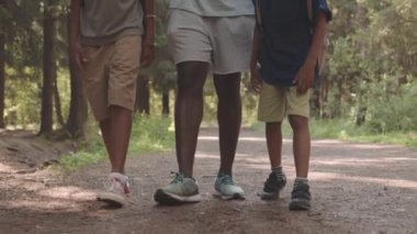 Afrika kökenli Amerikalı iki tatlı çocuğun yavaş çekimleri. Güzel bir yaz ormanı patikası boyunca yürüyorlar. Kamp gezisi sırasında sohbet ediyorlar.