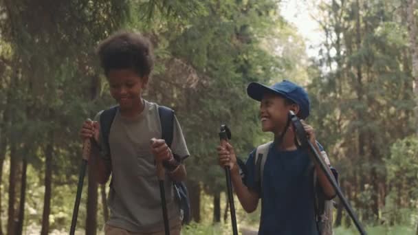 Mittlere Aufnahme Zweier Afroamerikanischer Kleiner Jungen Die Mit Wanderstöcken Den — Stockvideo