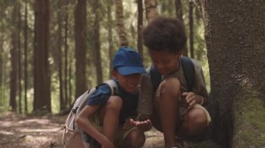 Güzel bir ormanda yaz günü kamp yaparken buldukları çam kozalağına bakan tatlı Afro-Amerikalı çocukların yavaş çekimleri.