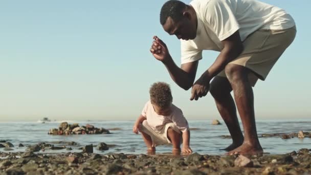 Slowmo Shot Happy African American Man Playing His Cute Toddler — Video