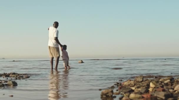 아프리카 미국인 아버지와 아장아장 뒷모습의 느림보 바다에 해변을 바라보고 — 비디오