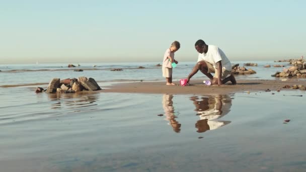Широкий Снимок Афроамериканского Отца Мальчика Играющего Песком Вместе Проводящего Летний — стоковое видео