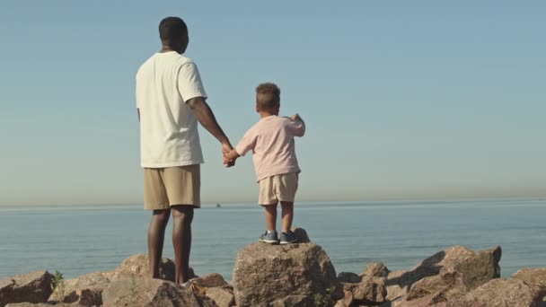 Hátul Látható Lassított Felvétel Afro Amerikai Apáról Fiáról Amint Sziklán — Stock videók