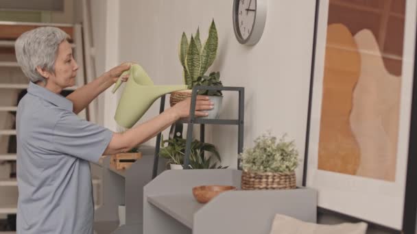 Vista Lateral Media Anciana Mujer Asiática Cuidando Las Plantas Apartamento — Vídeo de stock