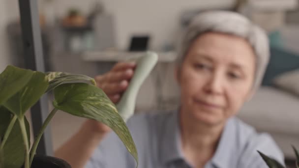 亚洲老年妇女在家照看植物 清洁树叶 喷水的角度很高 — 图库视频影像