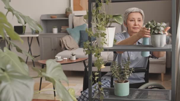 Mediano Largo Senior Alegre Mujer Asiática Silla Ruedas Pulverización Plantas — Vídeos de Stock