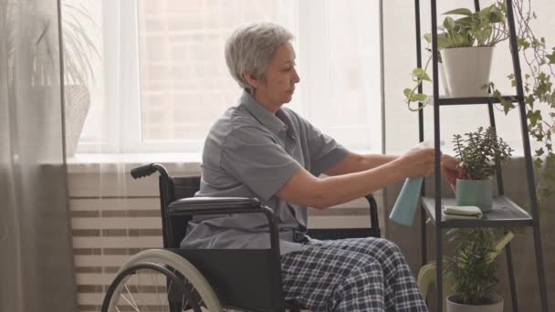 坐在轮椅上的亚洲老年妇女在家中喷水的侧视图 — 图库视频影像