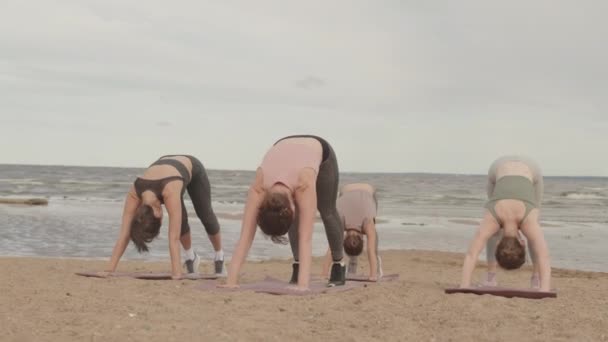 Langzame Opname Van Een Groep Van Vier Jonge Vrouwen Sportkleding — Stockvideo