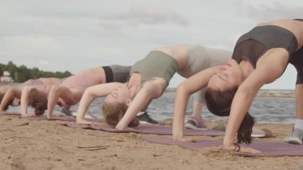 Rüzgârlı Bir Sabahta Sahilde Yoga Antrenmanı Yapan Briç Pozu Veren — Stok video