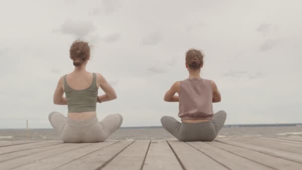 Langzame Achteraanzicht Opname Van Twee Jonge Vrouwen Zittend Houten Pier — Stockvideo