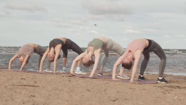 Langzame Opname Van Vier Jonge Sportieve Vrouwen Doen Brug Poseren — Stockvideo